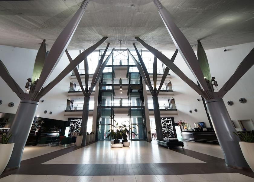 Campania Nola Reception