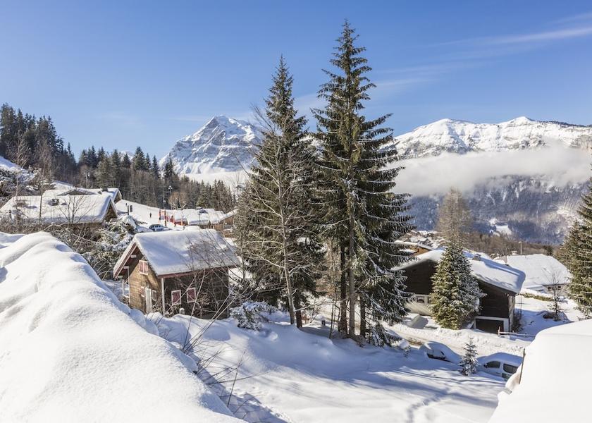 Auvergne-Rhone-Alpes Araches-la-Frasse Exterior Detail