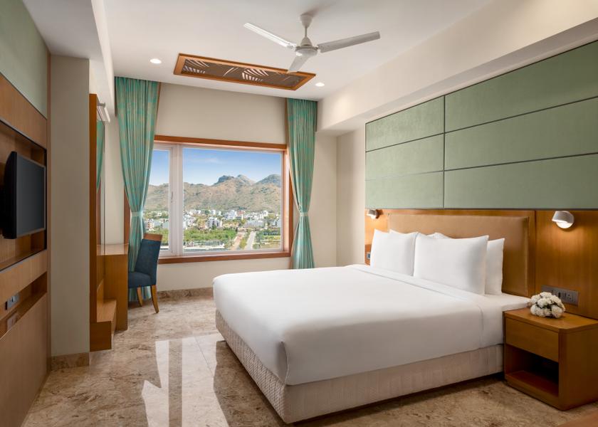 Rajasthan Udaipur Deluxe King- Non Smoking
