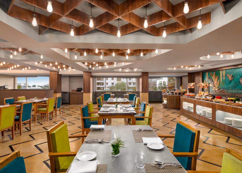 Rajasthan Udaipur Food & Dining