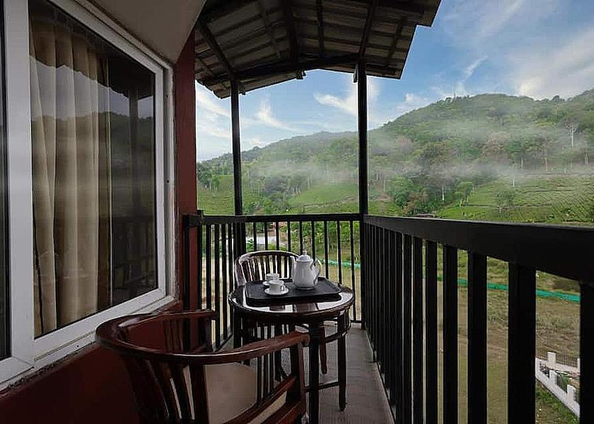 Kerala Wayanad 1025