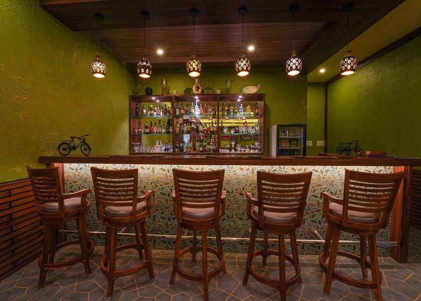 Himachal Pradesh Palampur Bar