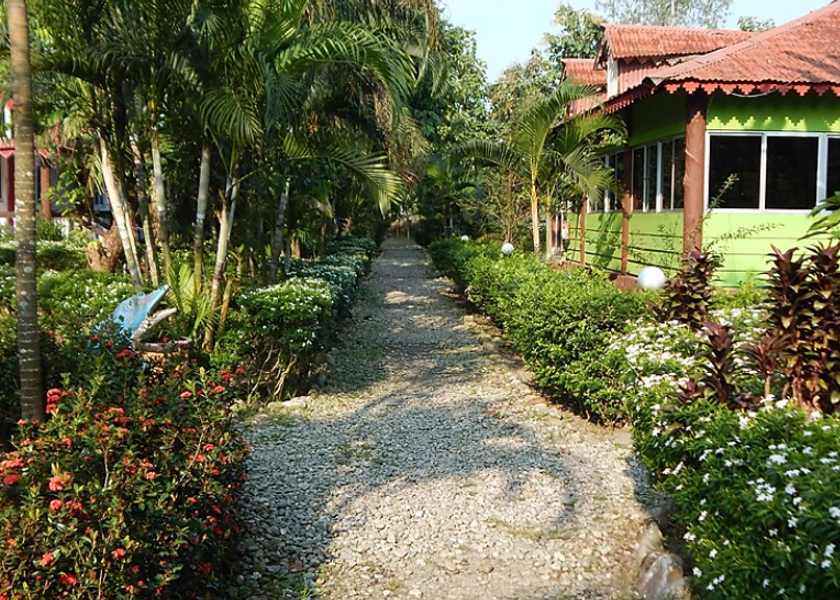 West Bengal Lataguri Outdoors