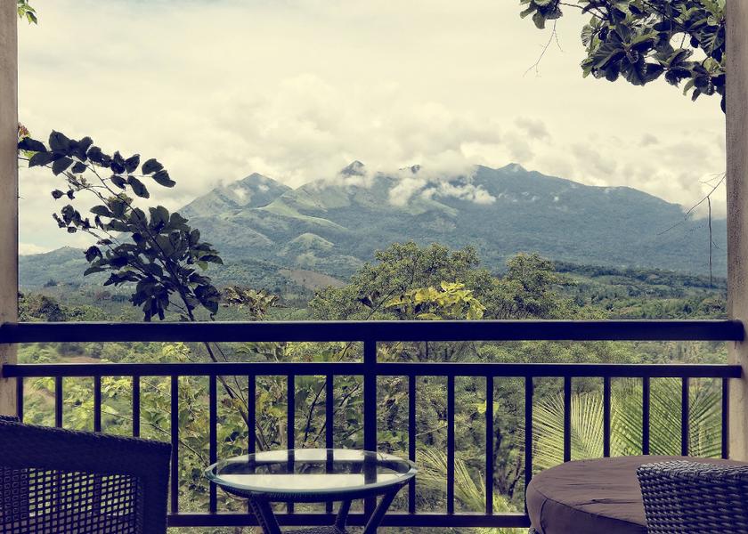 Kerala Wayanad 1025