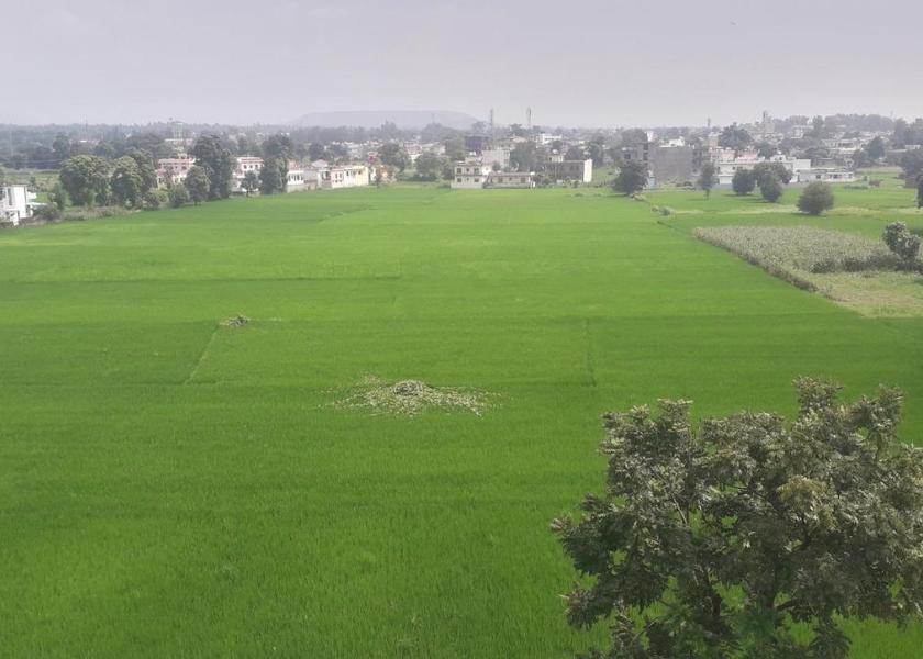 Himachal Pradesh Paonta Sahib Hotel View