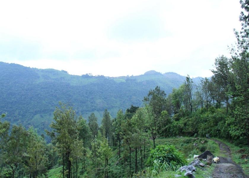 Tamil Nadu Coonoor Hotel View