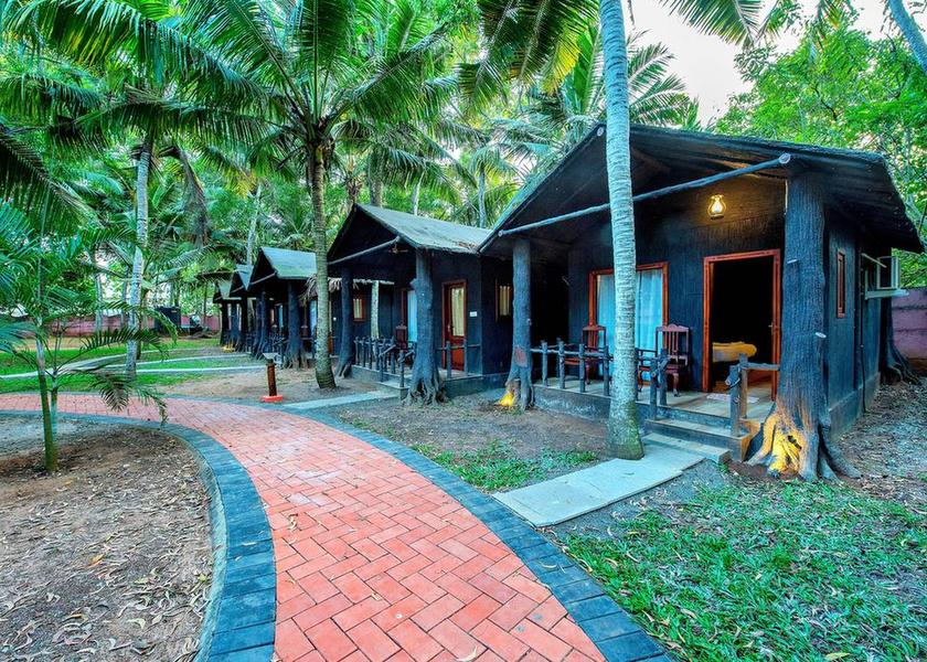 Kerala Thiruvananthapuram Outdoors