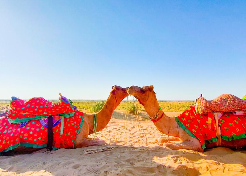 Rajasthan Jaisalmer Outdoors