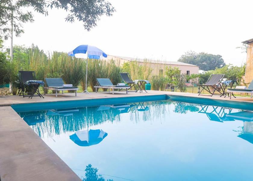 Rajasthan Sawai Madhopur Pool
