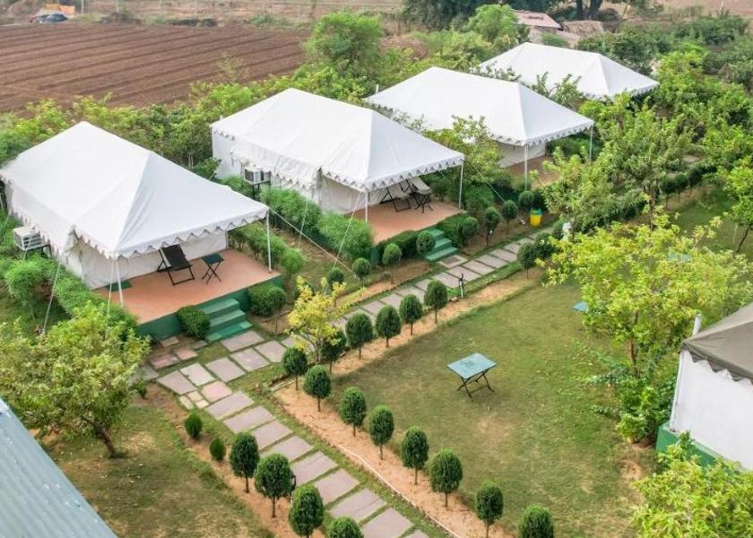 Rajasthan Sawai Madhopur Outdoors