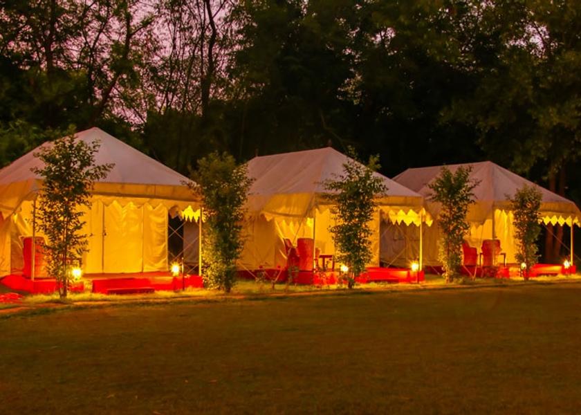 Rajasthan Sawai Madhopur Outdoors