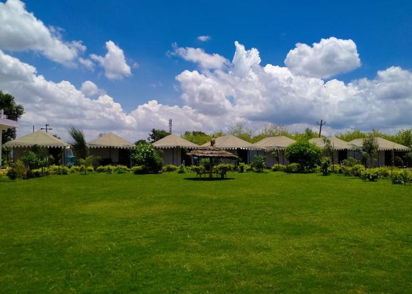 Rajasthan Sawai Madhopur Outdoors