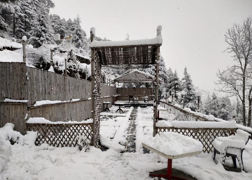 Himachal Pradesh Khajjiar Hotel Exterior