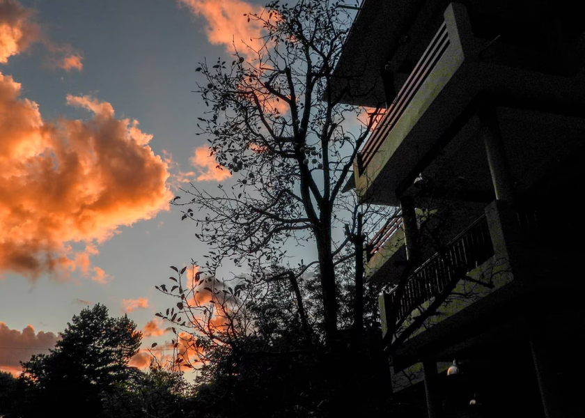 Himachal Pradesh Kasol Hotel Exterior