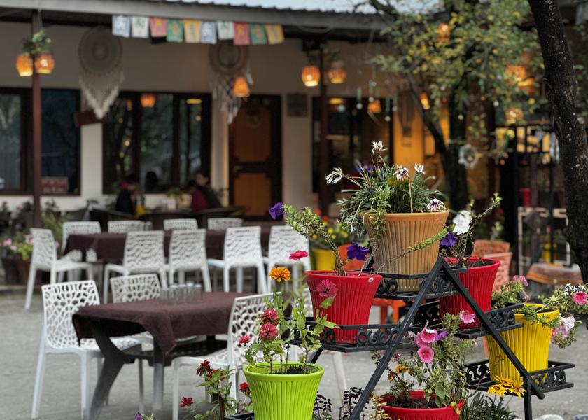 Himachal Pradesh Kasol Food & Dining