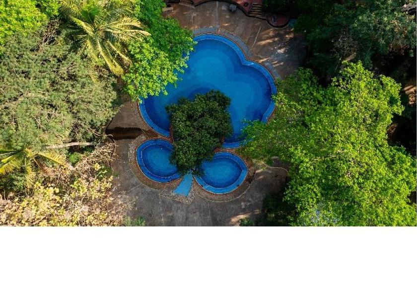 Karnataka Mysore Swimming pool