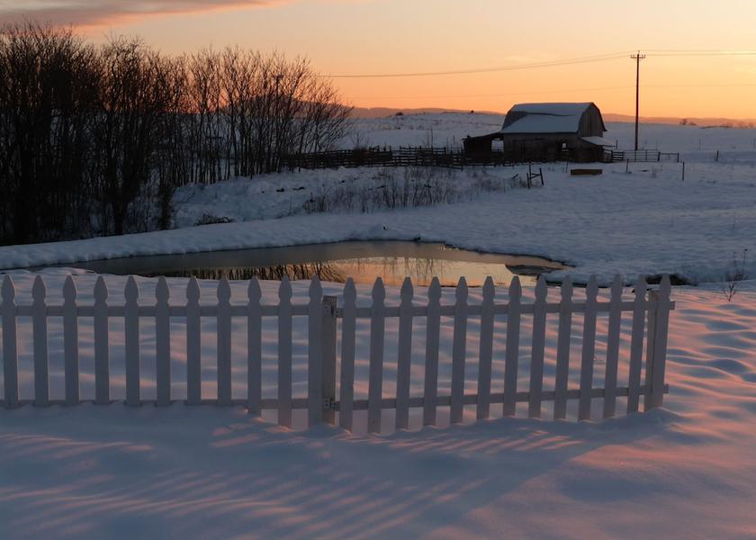 Virginia Dublin Property grounds