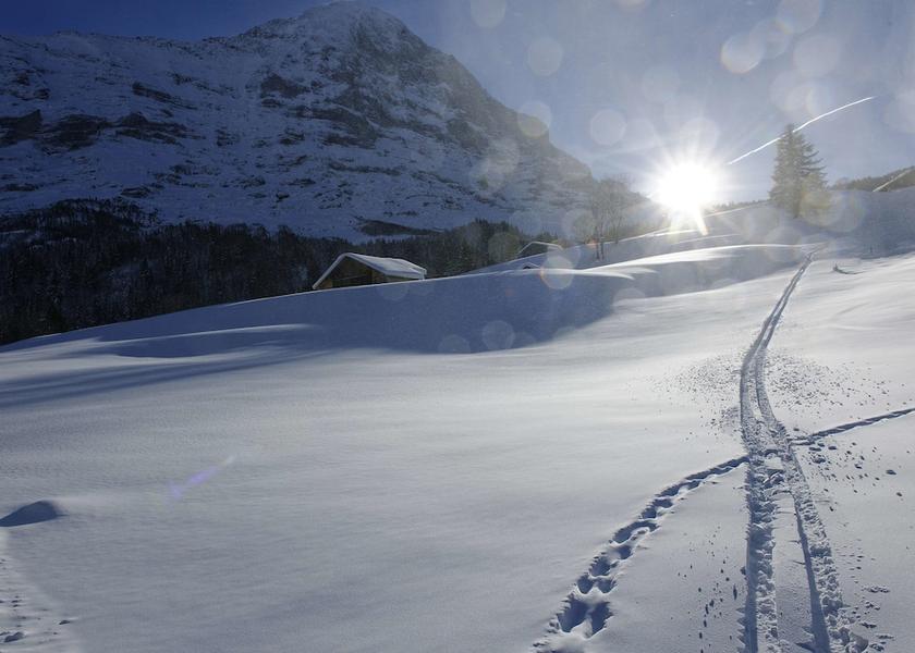 Canton of Bern Grindelwald Snowshoeing