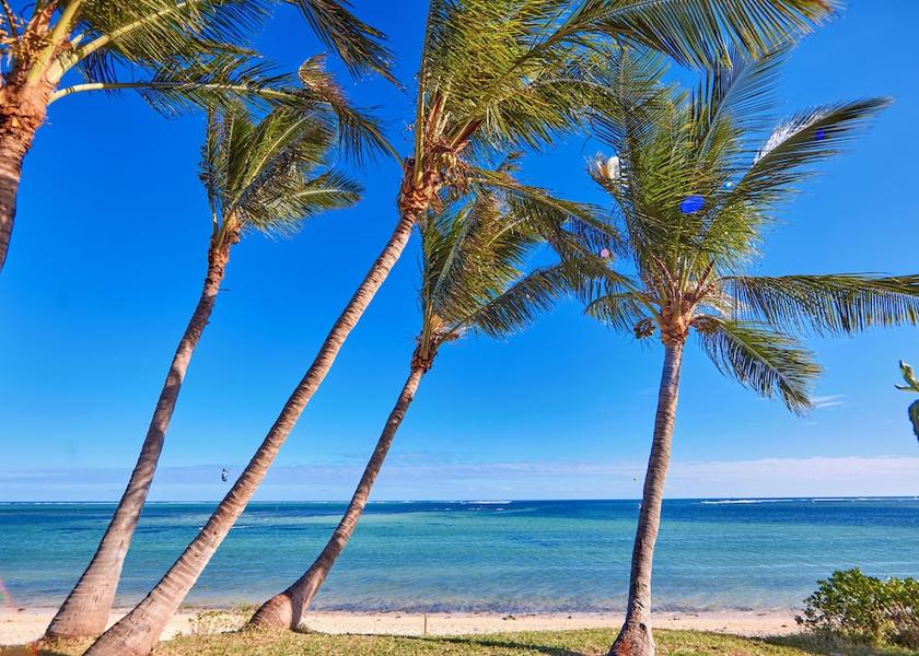 Rivière Noire Le Morne Beach