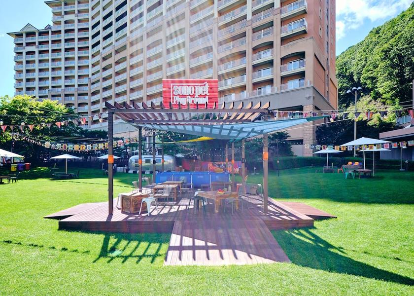 Gangwon Hongcheon Pet-friendly amenities