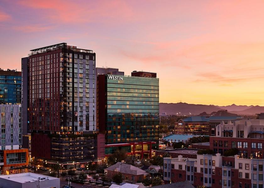 Arizona Tempe View from property