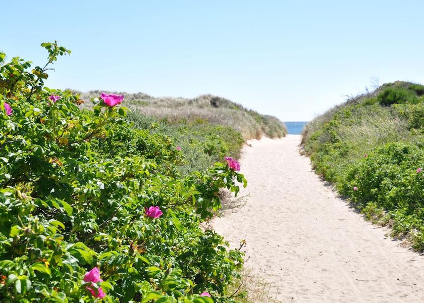 Nordjylland (region) Skagen Beach