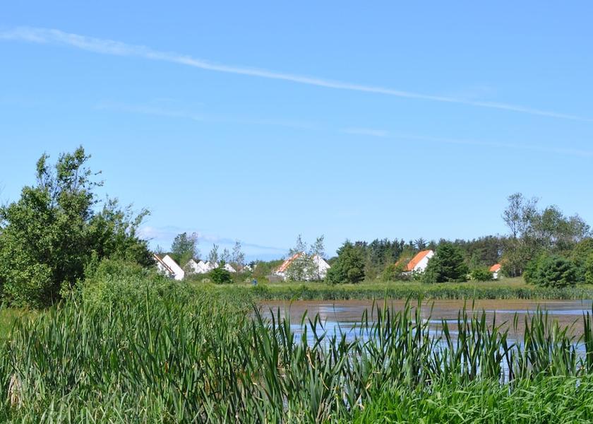 Nordjylland (region) Skagen Property Grounds