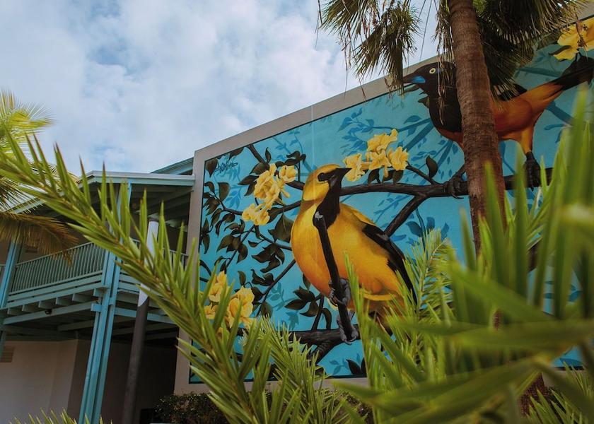  Noord Property Grounds