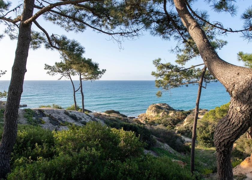 Faro Albufeira View from Property