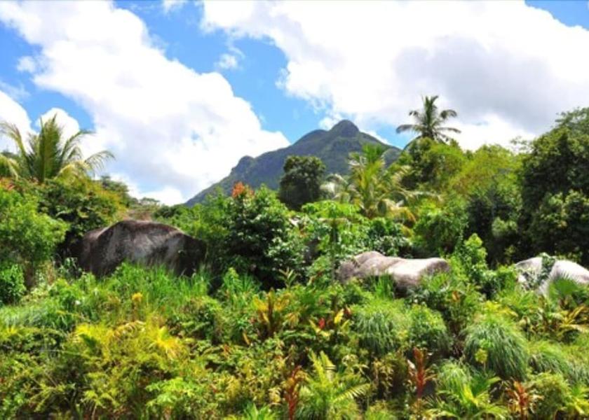  Mahé Island Mountain view