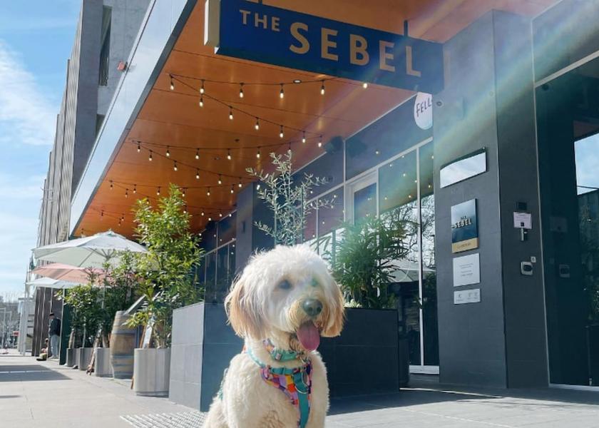 New South Wales Canberra Pet-Friendly