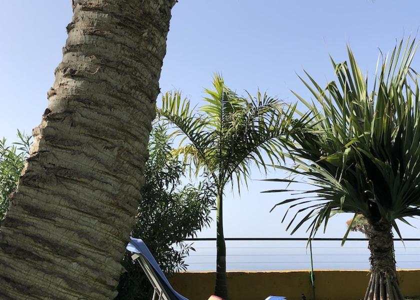 Canary Islands Puerto de la Cruz Garden