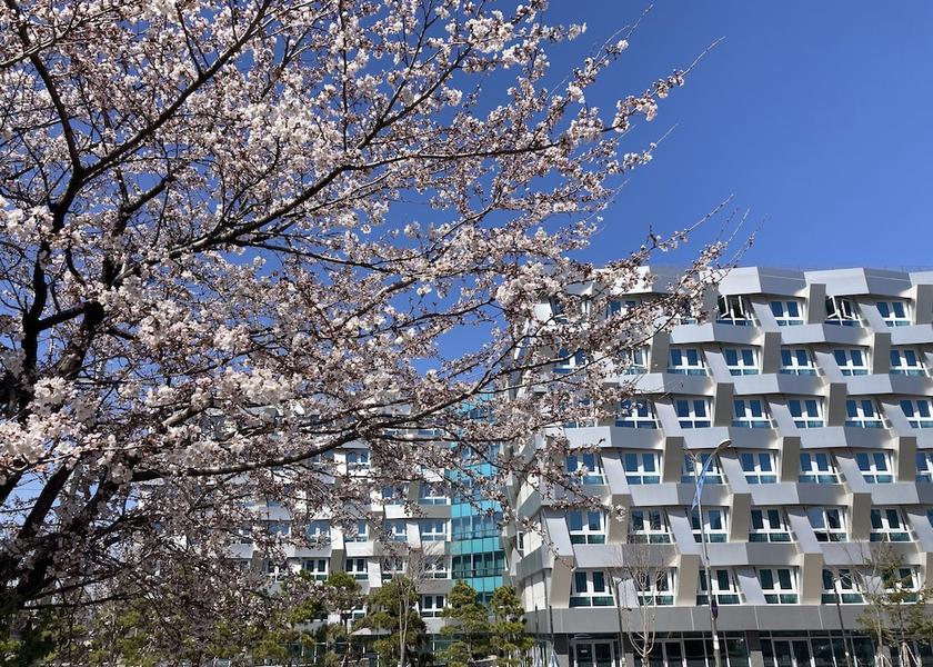 Gangwon Sokcho Exterior Detail