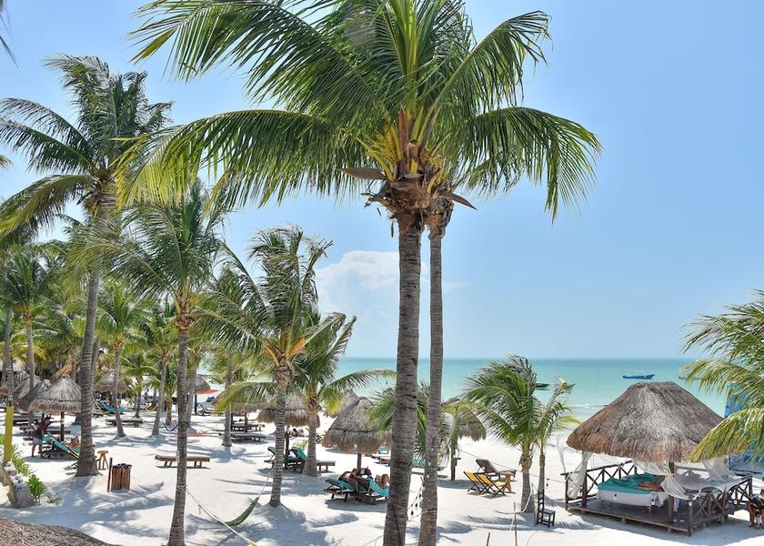 Quintana Roo Isla Holbox View From Room