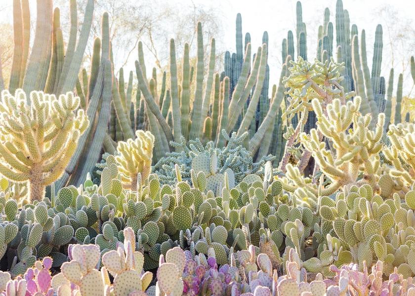 Arizona Phoenix Point of interest