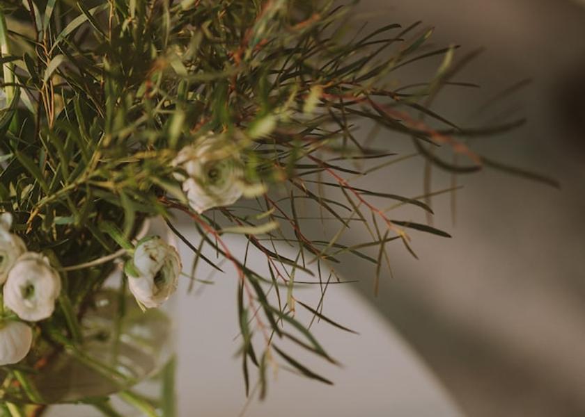 West Pomeranian Voivodeship Swinoujscie Interior Entrance