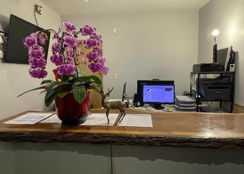 Ontario Toronto Reception