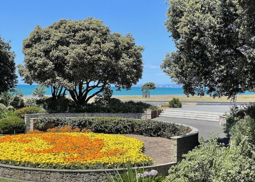  Napier Property Grounds
