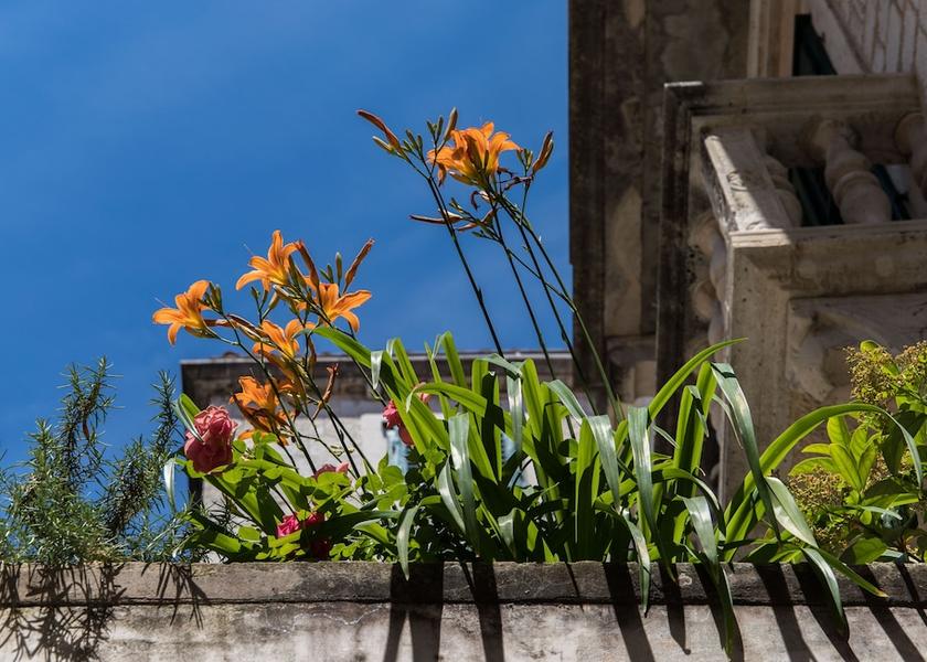 Split-Dalmatia Split Ecotours