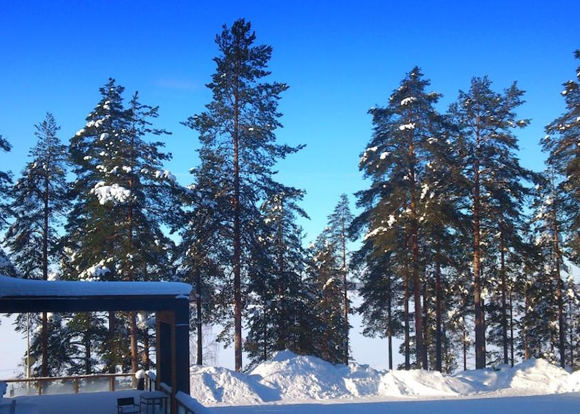 South Karelia Imatra Property grounds