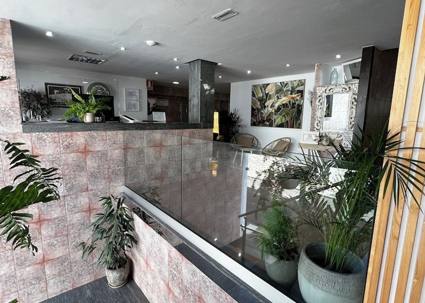 Canary Islands Arrecife Reception