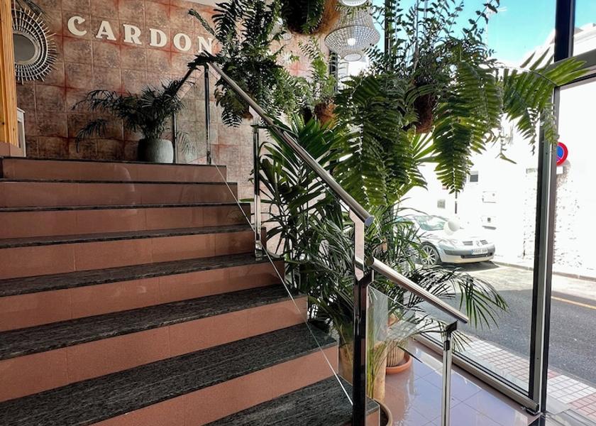 Canary Islands Arrecife Reception