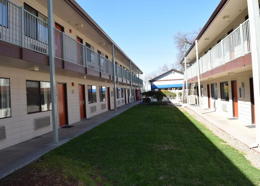 California Woodland Courtyard