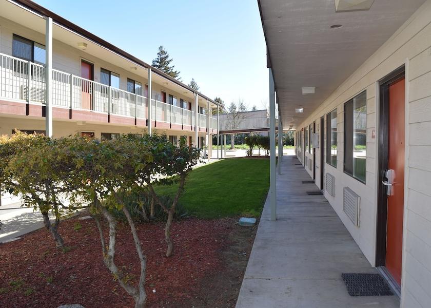 California Woodland Courtyard