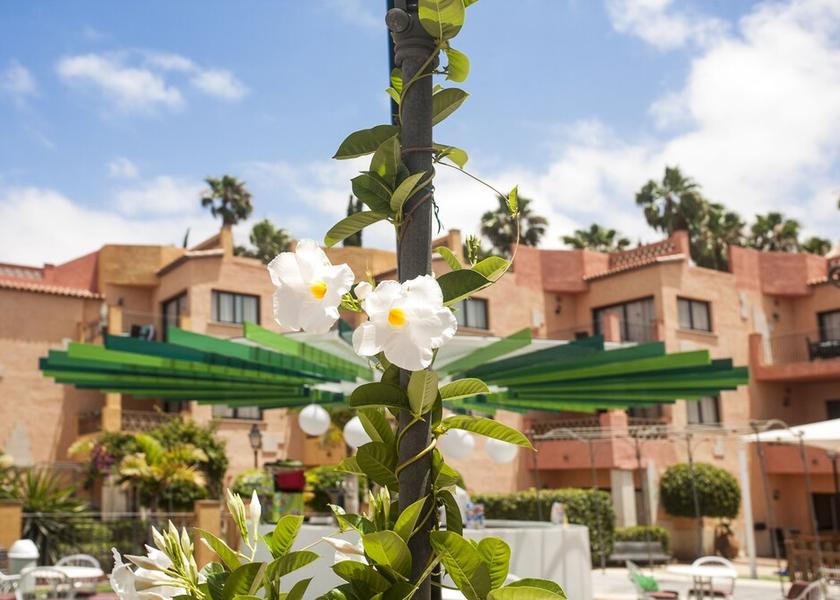 Canary Islands Arona Exterior Detail
