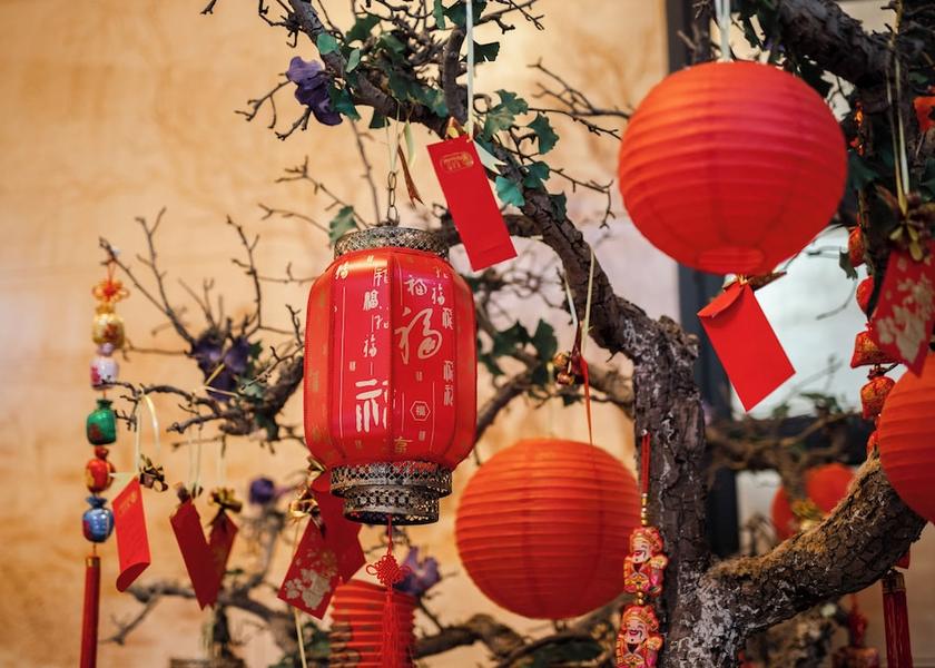 South Holland Delft Bar