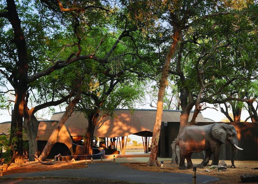  Chobe National Park Exterior Detail