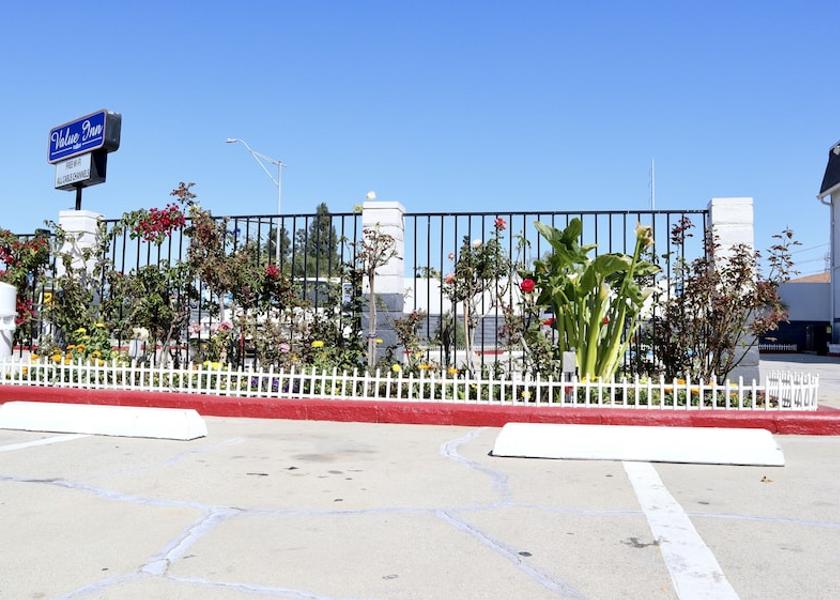California Bellflower Garden