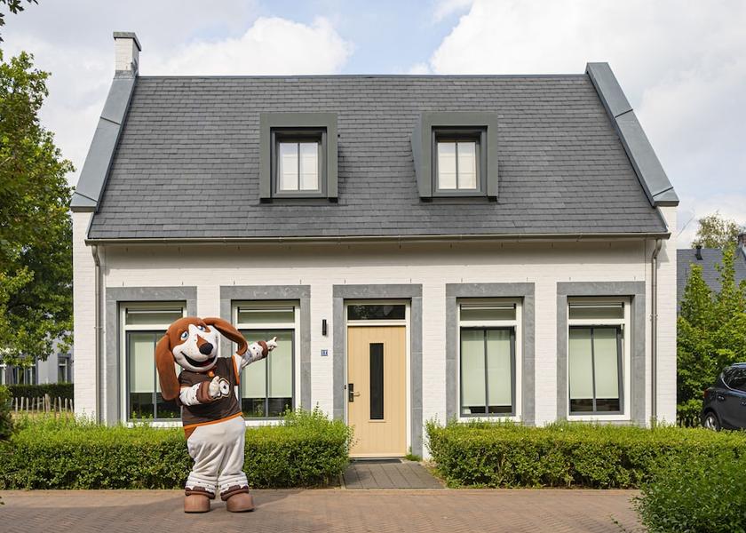 Limburg Maastricht Room