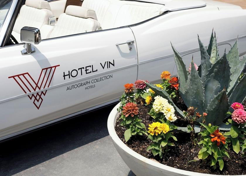 Texas Grapevine Amenity